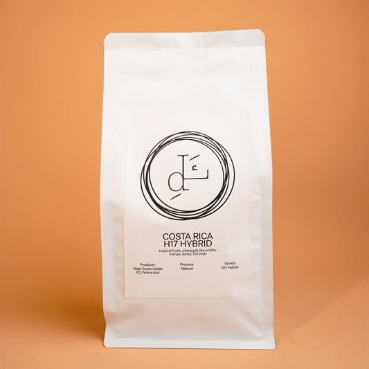Decaf Costa Rica H17 Hybrid Coffee Beans